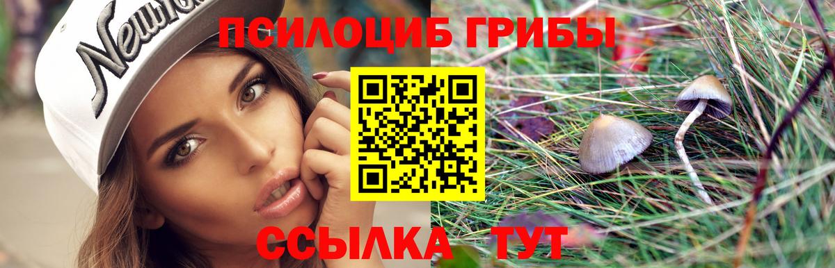 Псилоцибиновые грибы Psilocybe  Вход с VPN  Кулебаки 