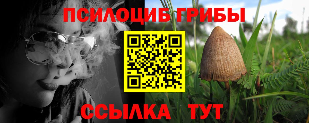 Галлюциногенные грибы MAGIC MUSHROOMS Кулебаки